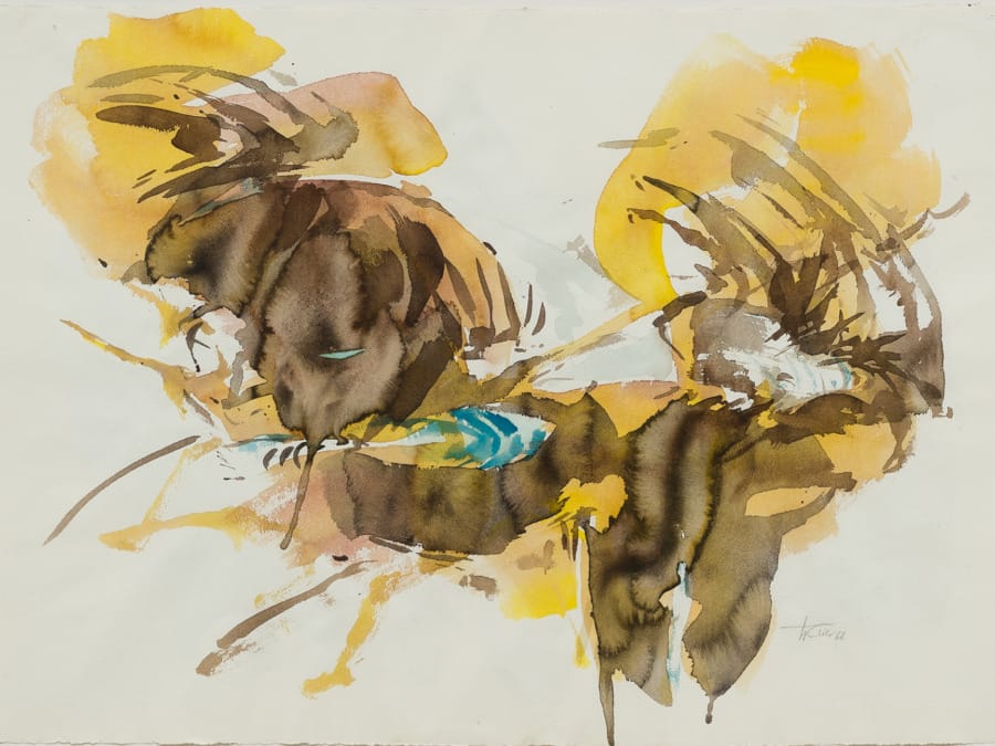 Der Maler Hann Trier