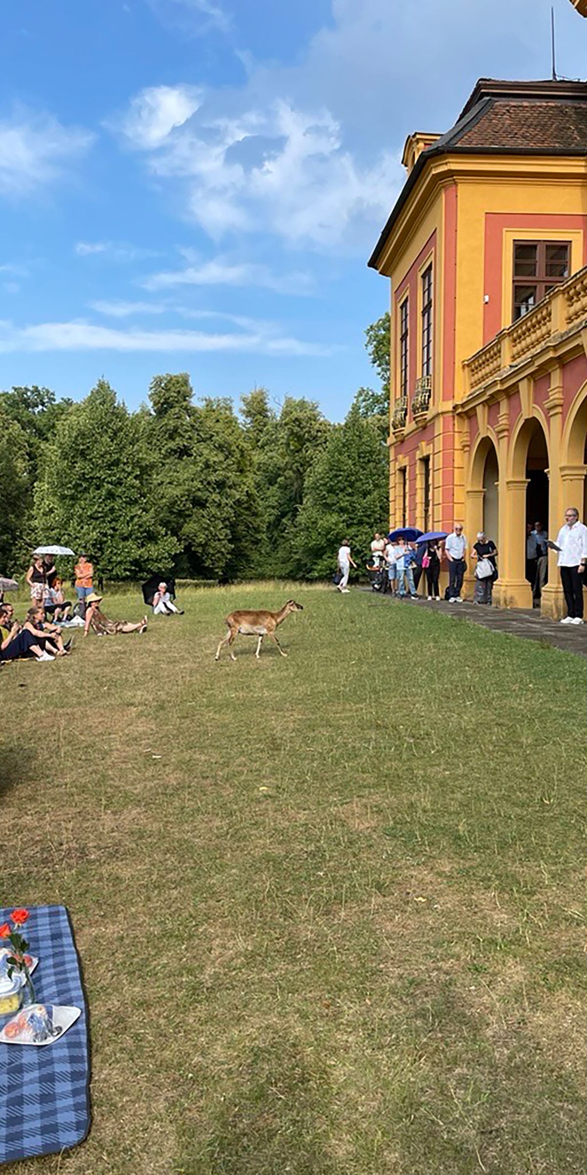 Musik im Park