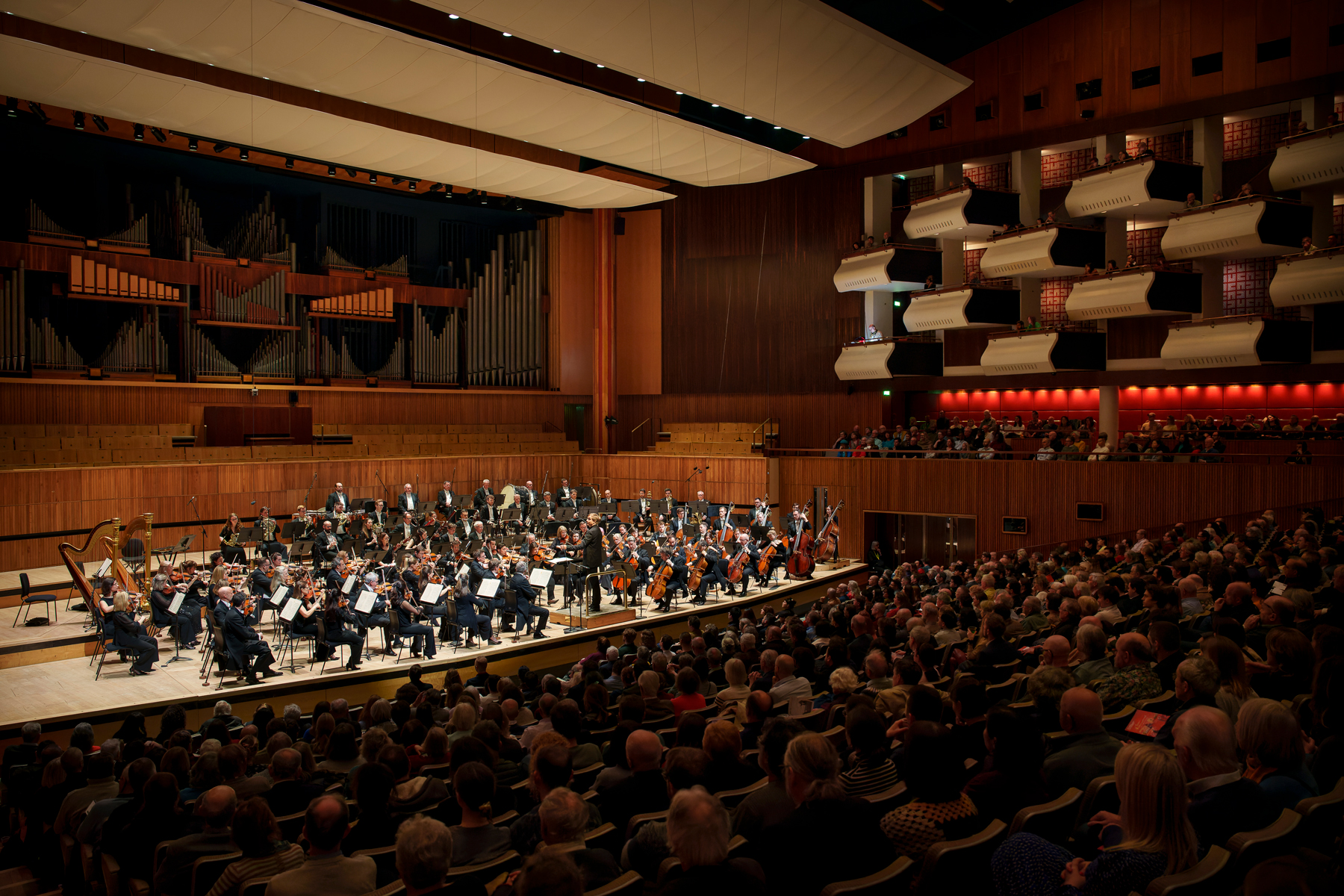 Bildarstellung des Royal Philharmonic Orchestra